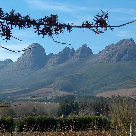 Somerset Villa Guesthouse Somerset West Bagian luar foto