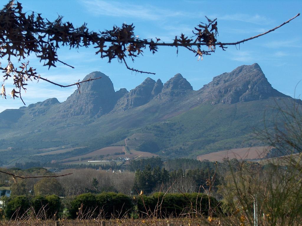 Somerset Villa Guesthouse Somerset West Bagian luar foto