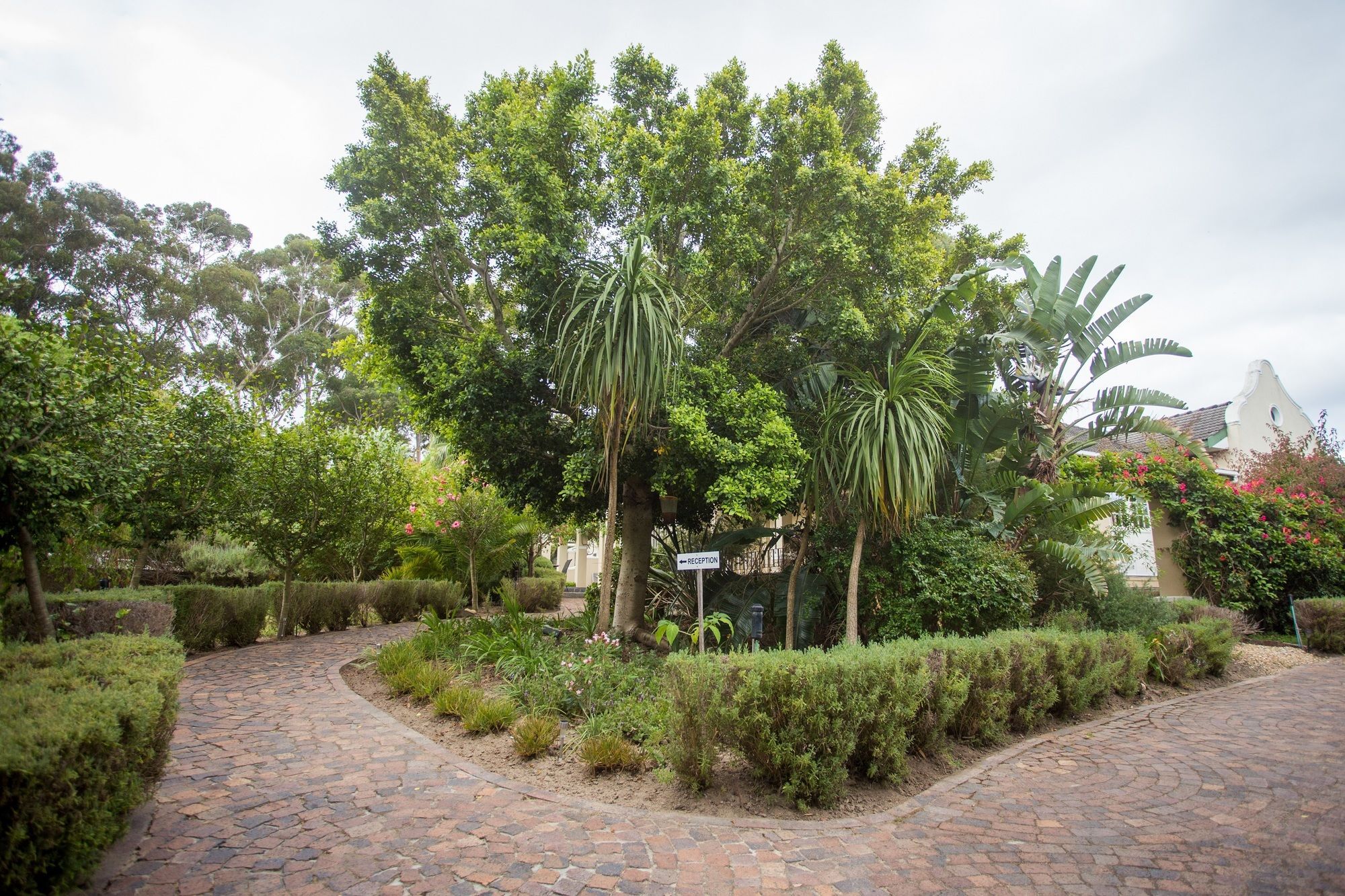 Somerset Villa Guesthouse Somerset West Bagian luar foto